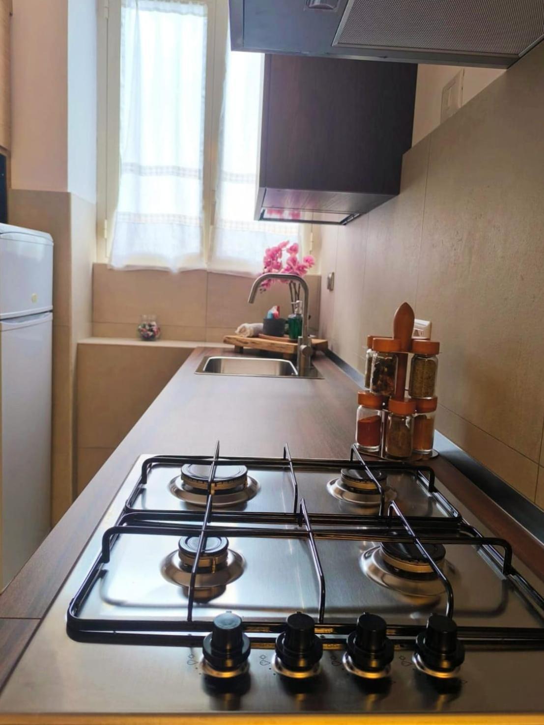 Vintage House Daire Roma Dış mekan fotoğraf